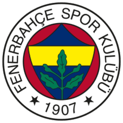 Fenerbahçe Fan token
